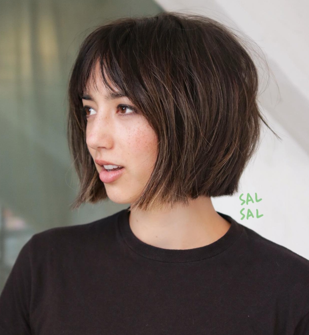 Short Bob Cut with Bang on Brown Hair