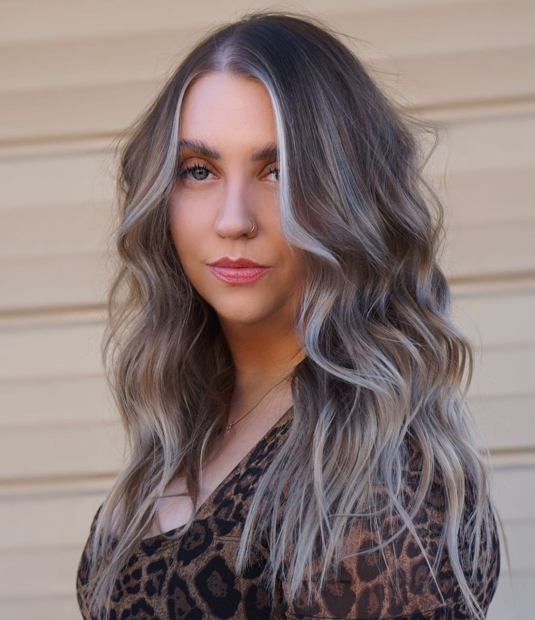 Partial Silver Highlights on Dark Long Hair